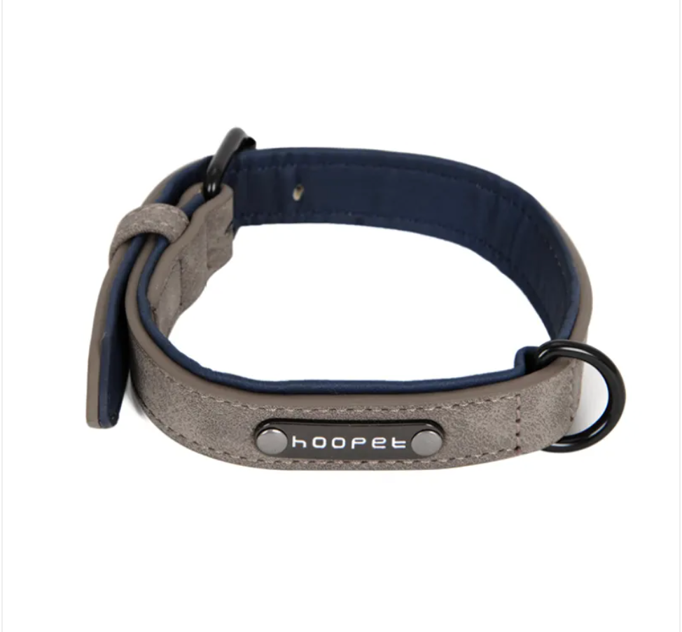 Adjustable PVC Dog Collar and Leash Set