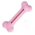 Dental Chew Bone Toy with Treat Holder