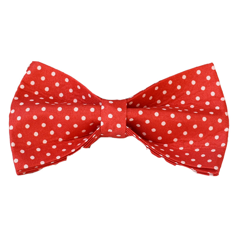 Red Dot Dog Collar Leash and Bow Tie Set