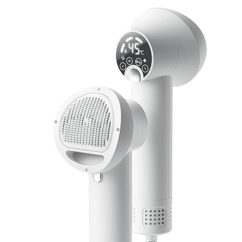 2-in-1 Ion Grooming Brush Dog Blow Dryer