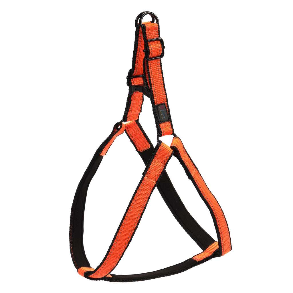 Lightweight Reflective Step-In Dog Harness