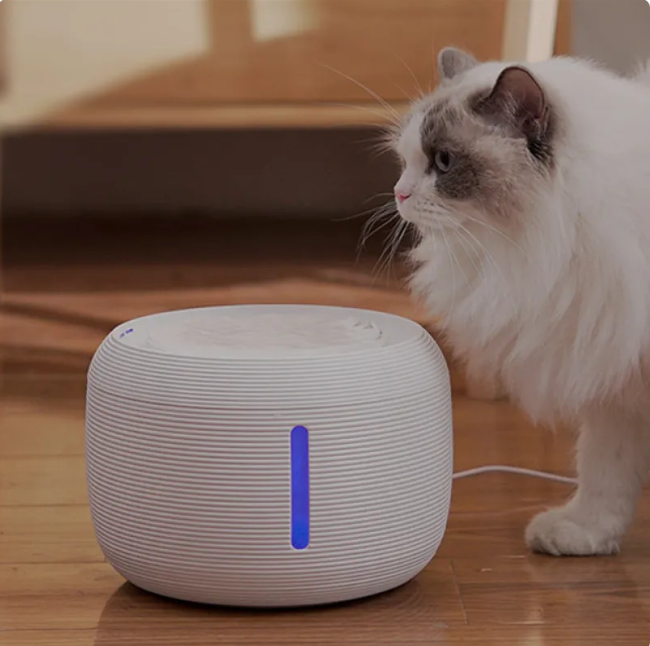 Smart Flowing Pet Water Fountain with Filter