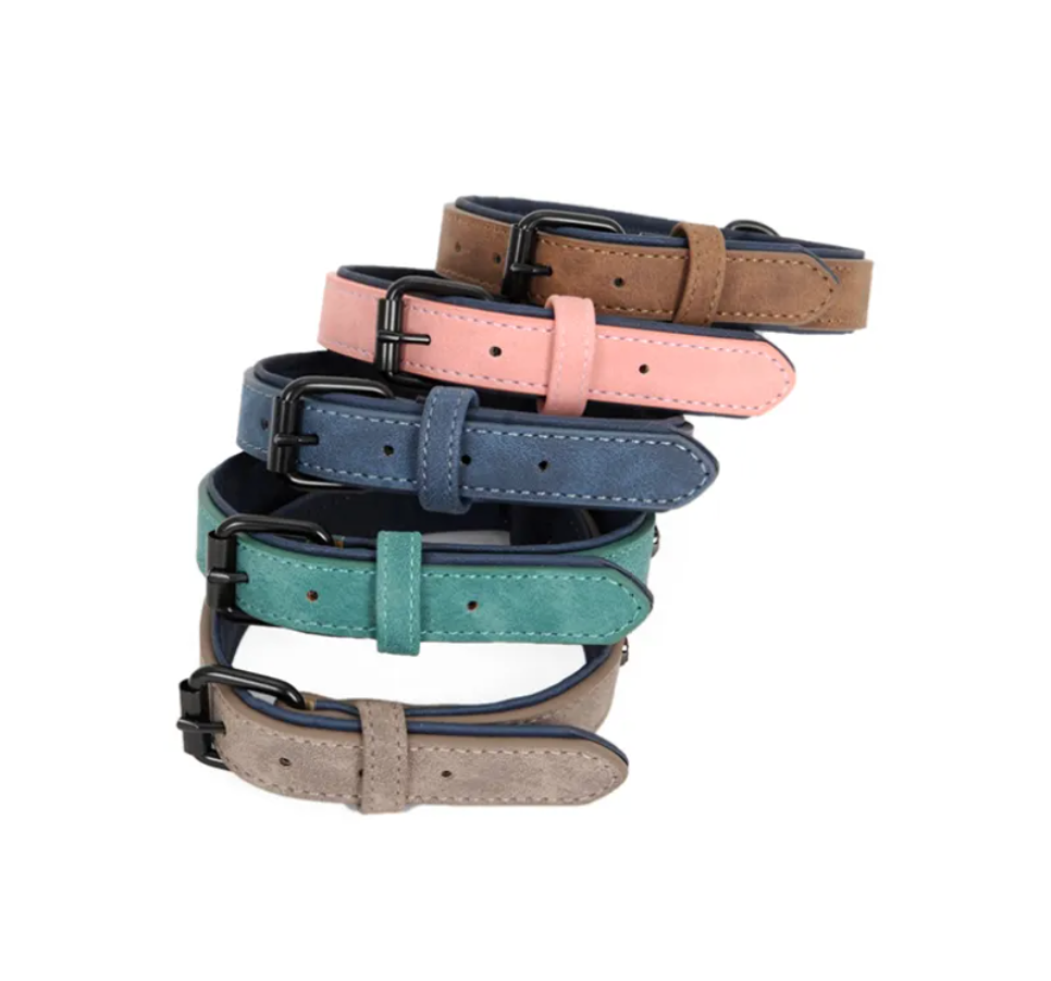 Adjustable PVC Dog Collar and Leash Set
