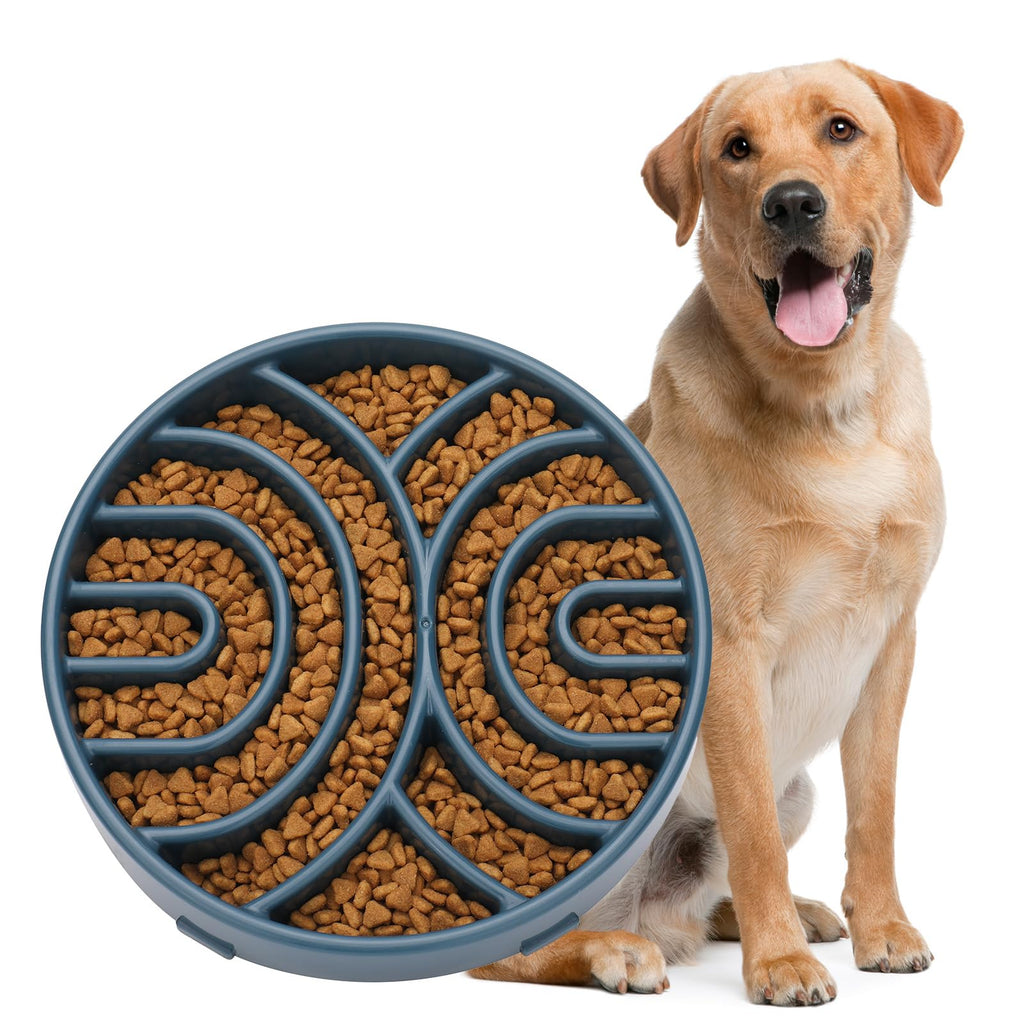 Anti-Choke Maze Slow Feeder Dog Bowl