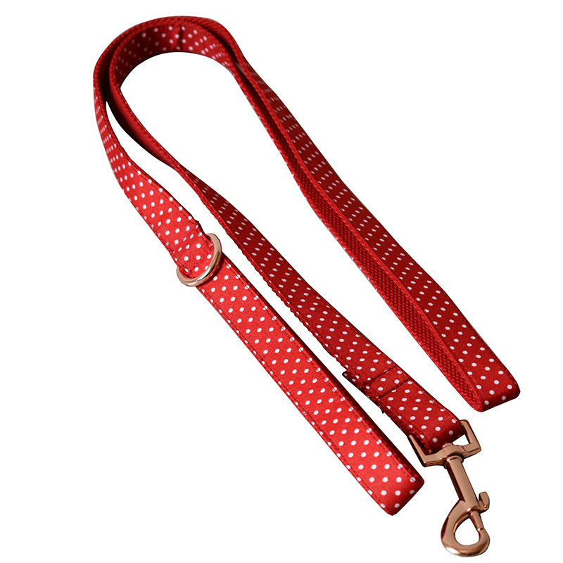 Red Dot Dog Collar Leash and Bow Tie Set