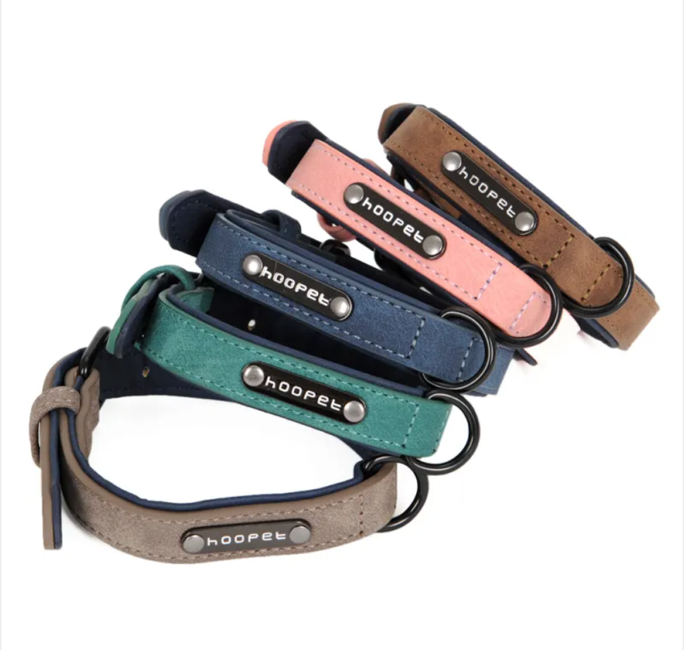 Adjustable PVC Dog Collar and Leash Set