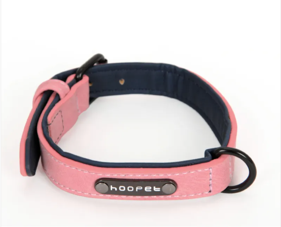 Adjustable PVC Dog Collar and Leash Set