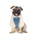 Fluffy Fleece Pullover Sweater for Small Dogs
