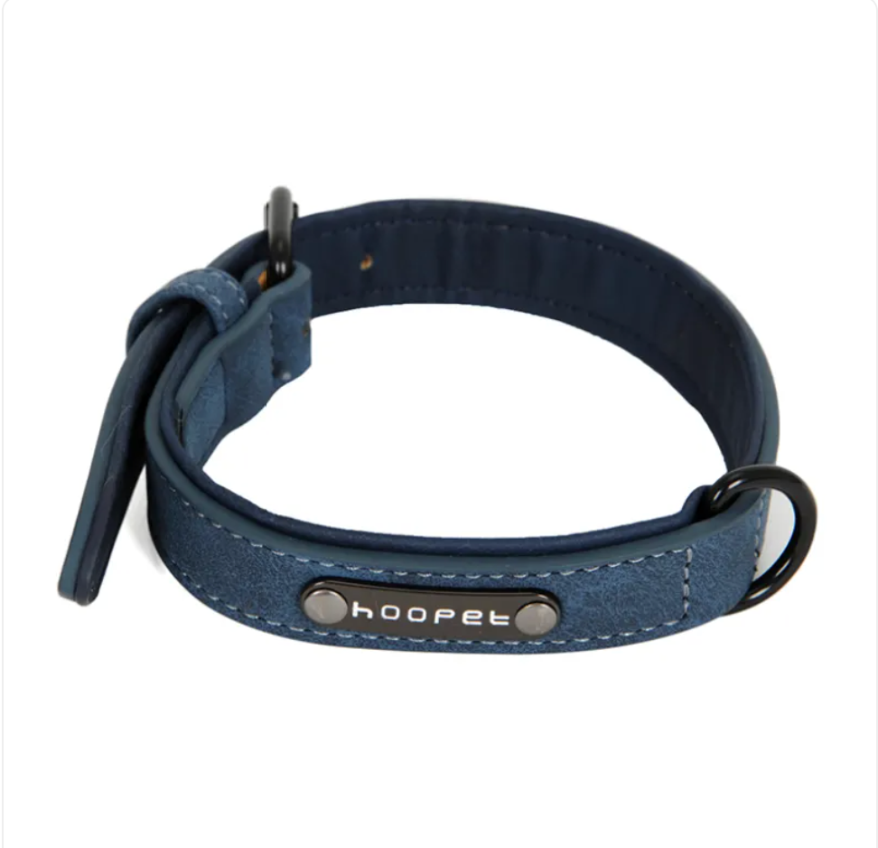 Adjustable PVC Dog Collar and Leash Set