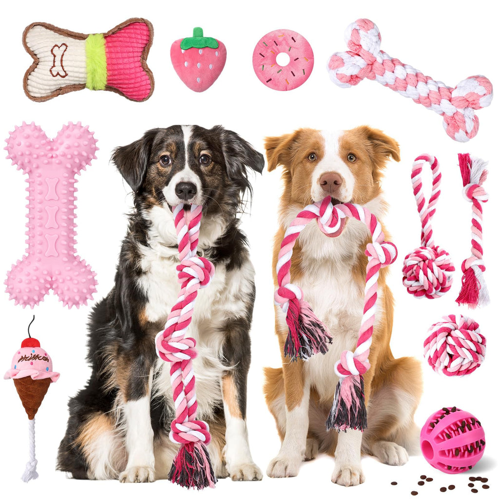 12-Piece Chew & Rope Dog Toy Set for Large Breeds