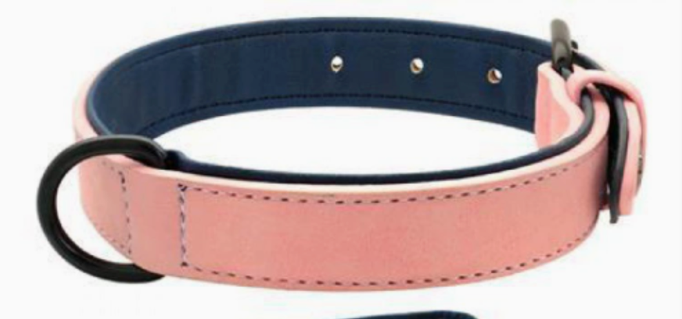 Adjustable PVC Dog Collar and Leash Set
