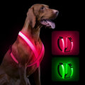 Rechargeable LED Light-Up Dog Harness